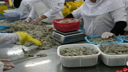 Iran-Import-Export-Trade-Fish-Shrimp-MBN-Equipment-Instruments-