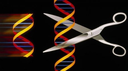 gene editing-MBN co-IMED-Iran medical sciences-mbncompany.com